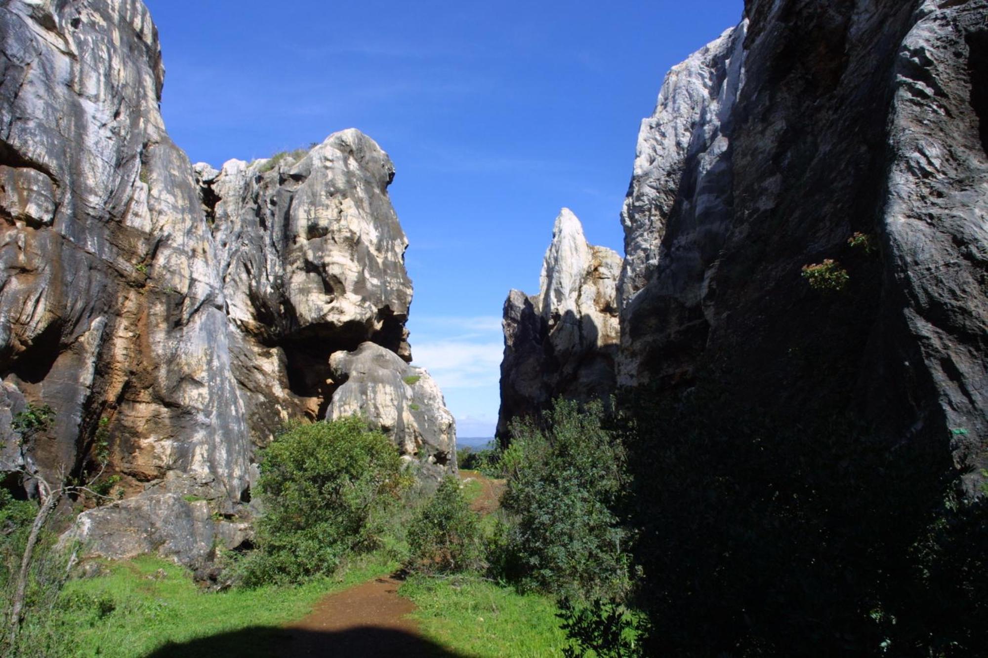 Las Navezuelas Cazalla de la Sierra Ngoại thất bức ảnh
